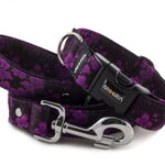 Collar Abstract Purple with a leash