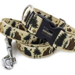 Collar Bear Friends with a leash