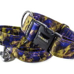 Leash Blue Yellow Mood with the collar