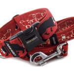 Collar Border Collie Life Red with a leash