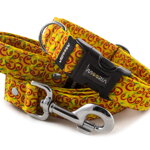 Leash Chilli with the collar