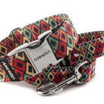 Collar Color Rhombus with a leash