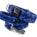 Leash Digital Blue with the collar