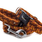 Leash Digital Gold with the collar