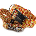 Leash Falling Leaves with the collar