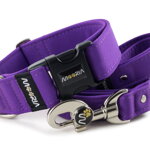 Leash Fuchsia Violet with the collar