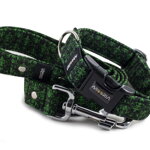 Leash Lilia Green with the collar