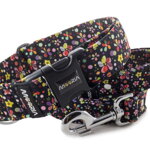 Collar Midnight Flowers with a leash