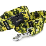 Leash Mystic Woodland with the collar