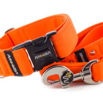 Leash Neon Orange with the collar