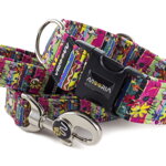 Leash Painted Meadow with the collar