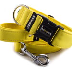 Collar Pastel Yellow with a leash