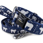 Leash Polar Bear with the collar