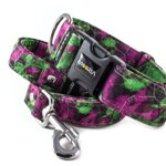Leash Purple Green Mood with the collar