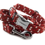 Collar Red Dots with a leash