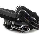 Collar Reflex Black II with a leash