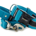Collar Reflex Dark Cyan II with a leash