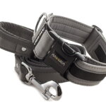 Collar Reflex Gray II with a leash