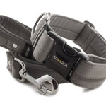 Collar Reflex Gray I with a leash