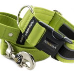 Collar Reflex Lime Green II with a leash