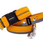 Leash Reflex Mustard Yellow with the collar