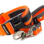 Collar Reflex Neon Orange II with a leash