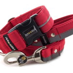 Collar Reflex Royal Red I with a leash