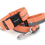 Collar Reflex Salmon I with a leash