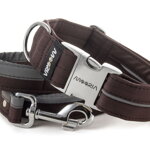 Collar Reflex Wood Brown I with a leash