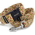 Collar Rosehip with a leash