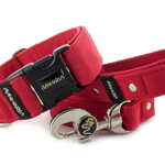 Collar Royal Red with a leash