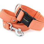 Leash Salmon with the collar