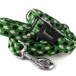 Collar Sheep Dream Green with a leash