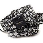 Collar Skulls with a leash