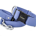 Collar Sky Blue with a leash