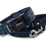 Leash Staffordshire Bull Terrier Blue with the collar