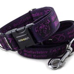Leash Staffordshire Bull Terrier Violet with the collar