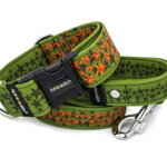 Leash Stars on Green with the collar