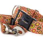 Collar Summer Blossom with a leash