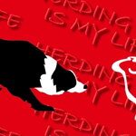 Collar Border Collie Life Red - Pattern