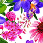 Leash Floral Fiesta - Pattern