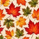 Collar Maple - Pattern