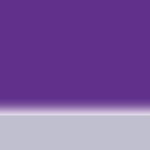 Leash Reflex Fuchsia Violet - Pattern