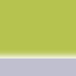 Leash Reflex Lime Green - Pattern