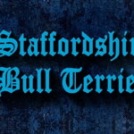 Leash Staffordshire Bull Terrier Blue - Pattern