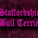 Collar Staffordshire Bull Terrier Pink - Pattern