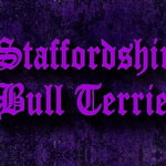 Leash Staffordshire Bull Terrier Violet - Pattern